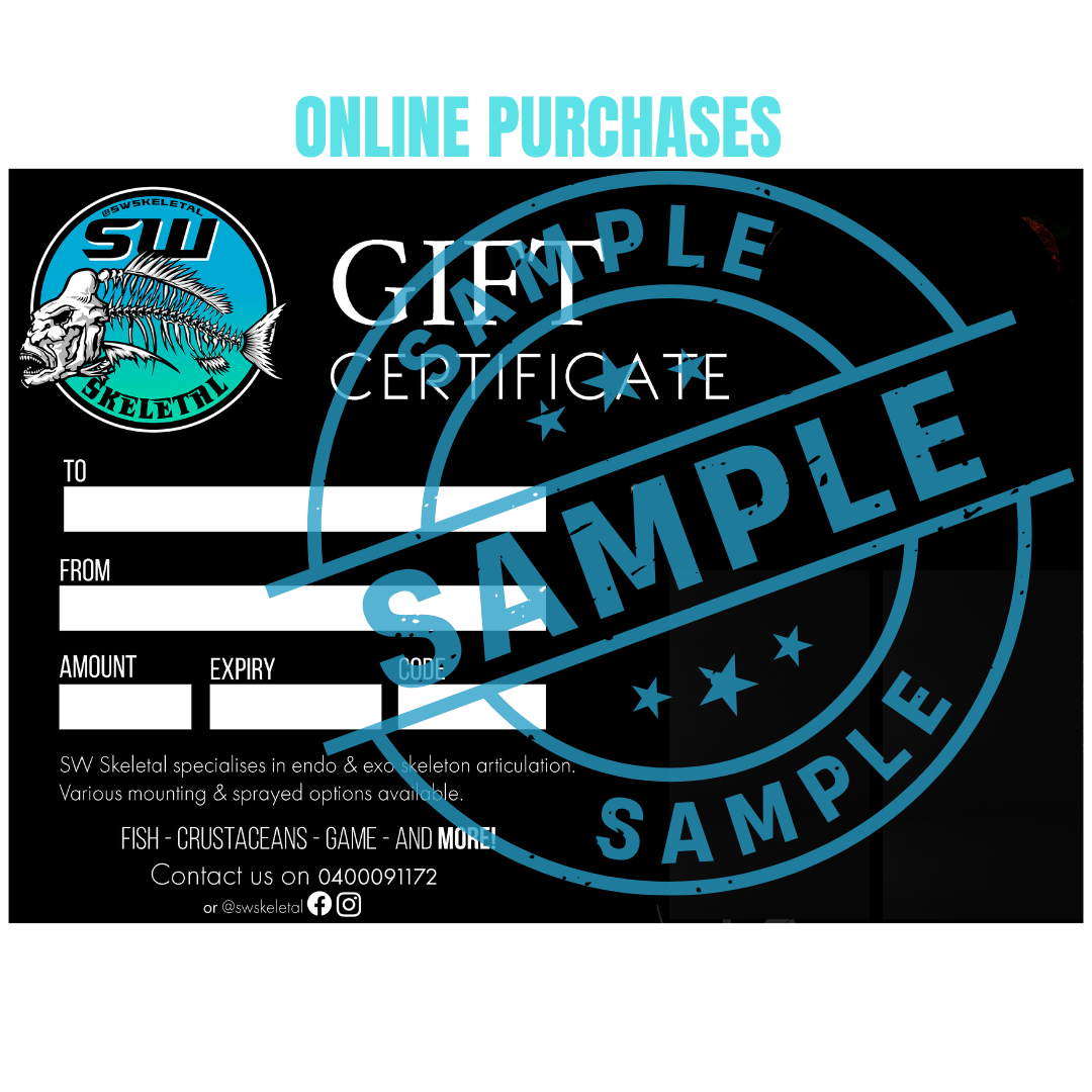 Gift Card - CAN BE REDEEMED FOR ONLINE PURCHASES