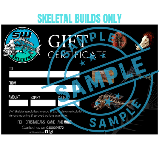 GIFT VOUCHER for Skeletal Builds