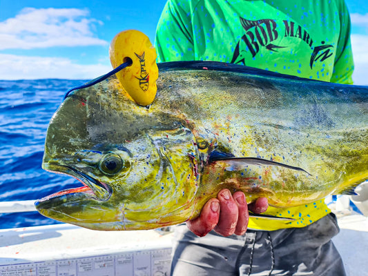 Ikpik - Essential Fishing Tool